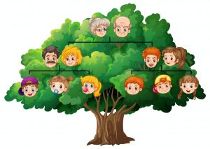 albero genealogico eredi